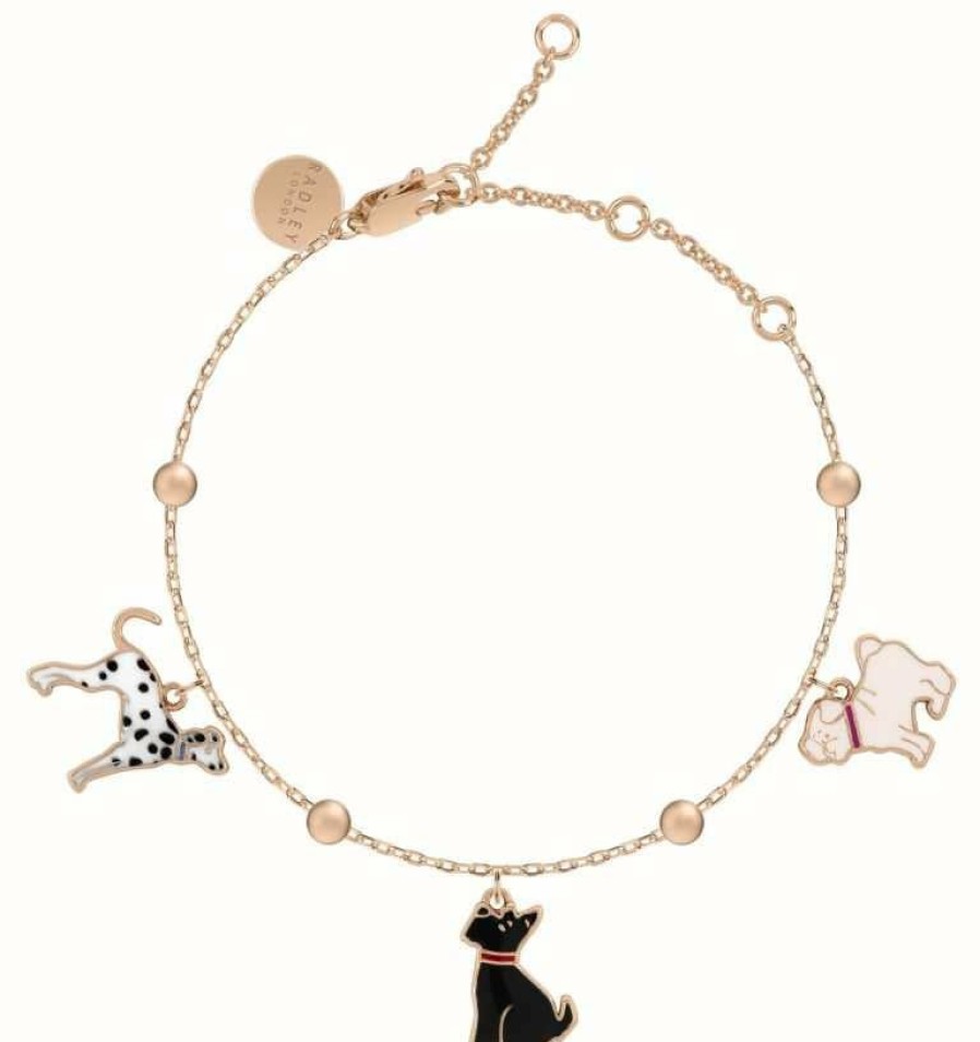 Jewelry Radley Jewellery | Radley Jewellery Ladies Rose Gold Plated Radley & Friends Bracelet