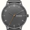 Men'S Skagen | Skagen Riis (40Mm) Grey Dial / Grey Steel Mesh Bracelet