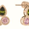 Jewelry Radley Jewellery | Radley Jewellery Tulip Street Rose Gold Plated Crystal Set Stud Earrings