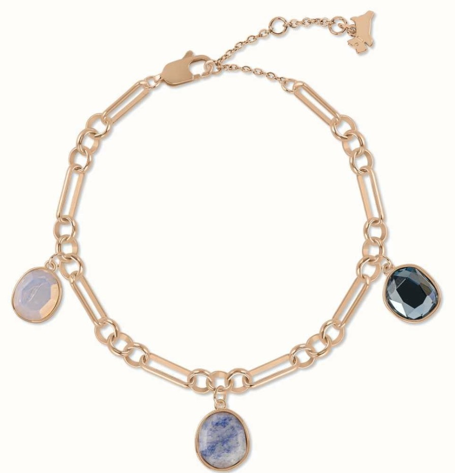 Jewelry Radley Jewellery | Radley Jewellery Rose Gold Plated Tulip Street Stone Charm Bracelet