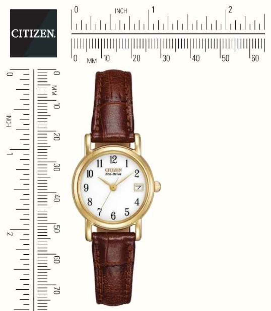 Women'S Citizen | Citizen Women'S Brown Leather Strap Strap Eco-Drive