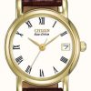 Women'S Citizen | Citizen Women'S White Dial Brown Leather Strap