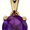 Jewelry Elements Gold | Elements Gold 9K Y/Gold Amethyst February Birthstone Pendant Only